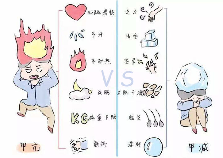 优乐园